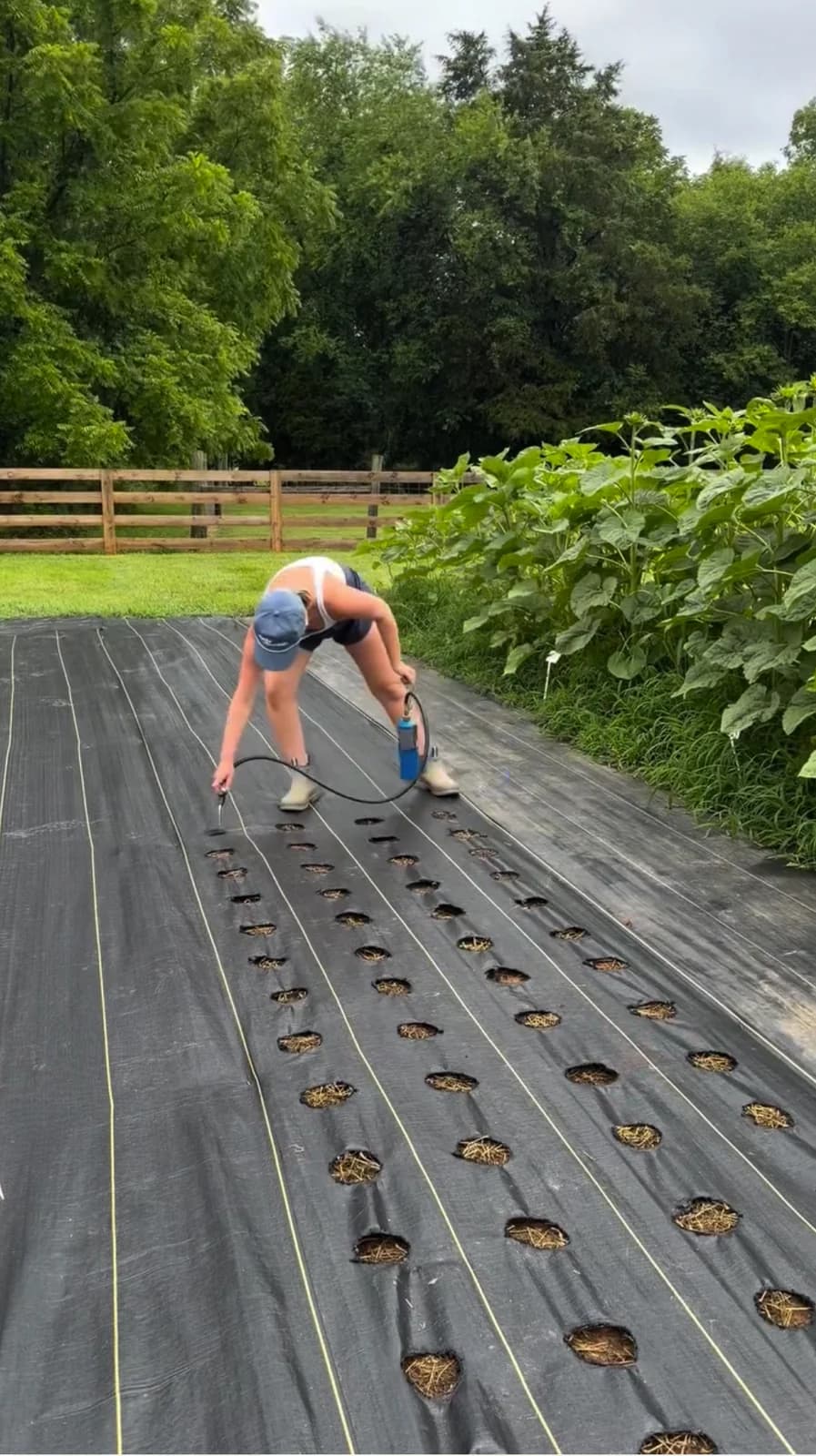 Grower burning planting holes through DOTDAY SHIELD 3.2 oz woven weed barrier fabric on a farm row