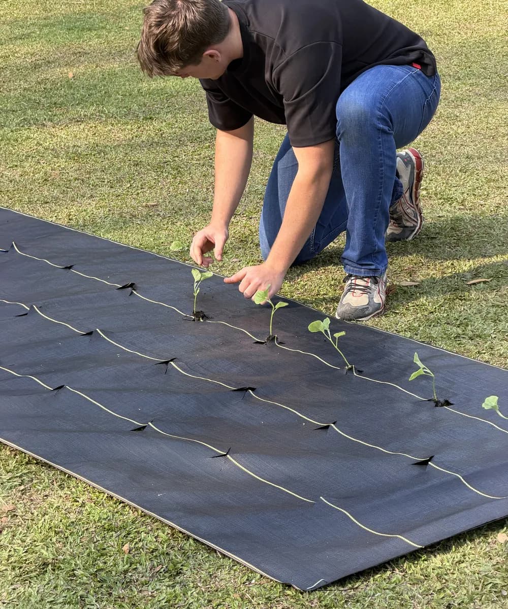 DOTDAY SHIELD professional landscape fabric roll featured in the Turf Magazine post