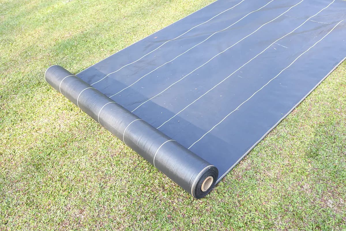 Landscape fabric vs cardboard: a DOTDAY SHIELD roll unrolled in a long strip over grass, ready for a permanent bed