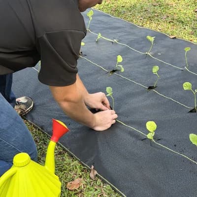 Eco-friendly garden grown over DOTDAY landscape fabric with no chemical herbicides