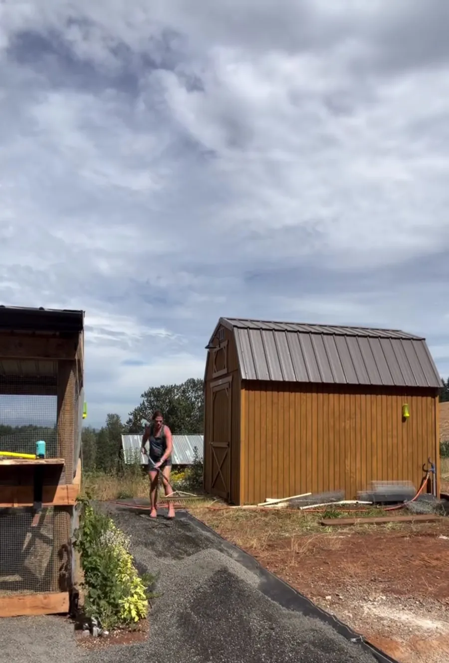 The finished gravel run beside the chicken coop