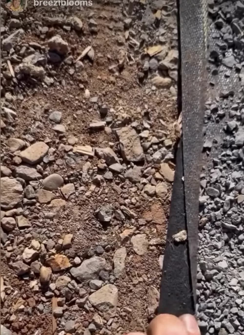Fabric edge between bare soil and gravel