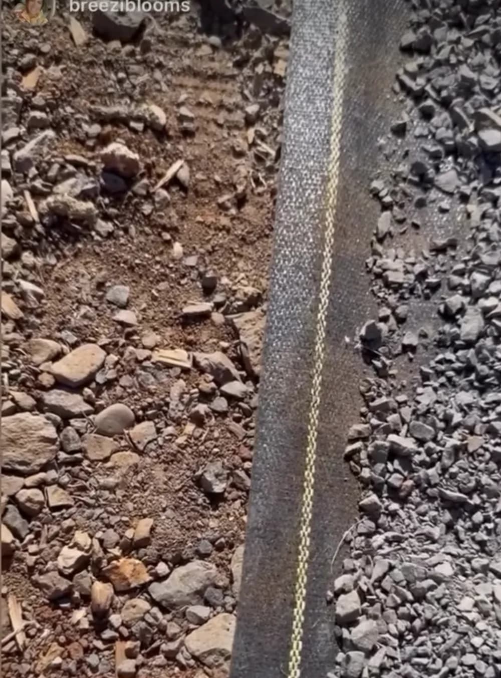 Yellow guide line along the buried edge