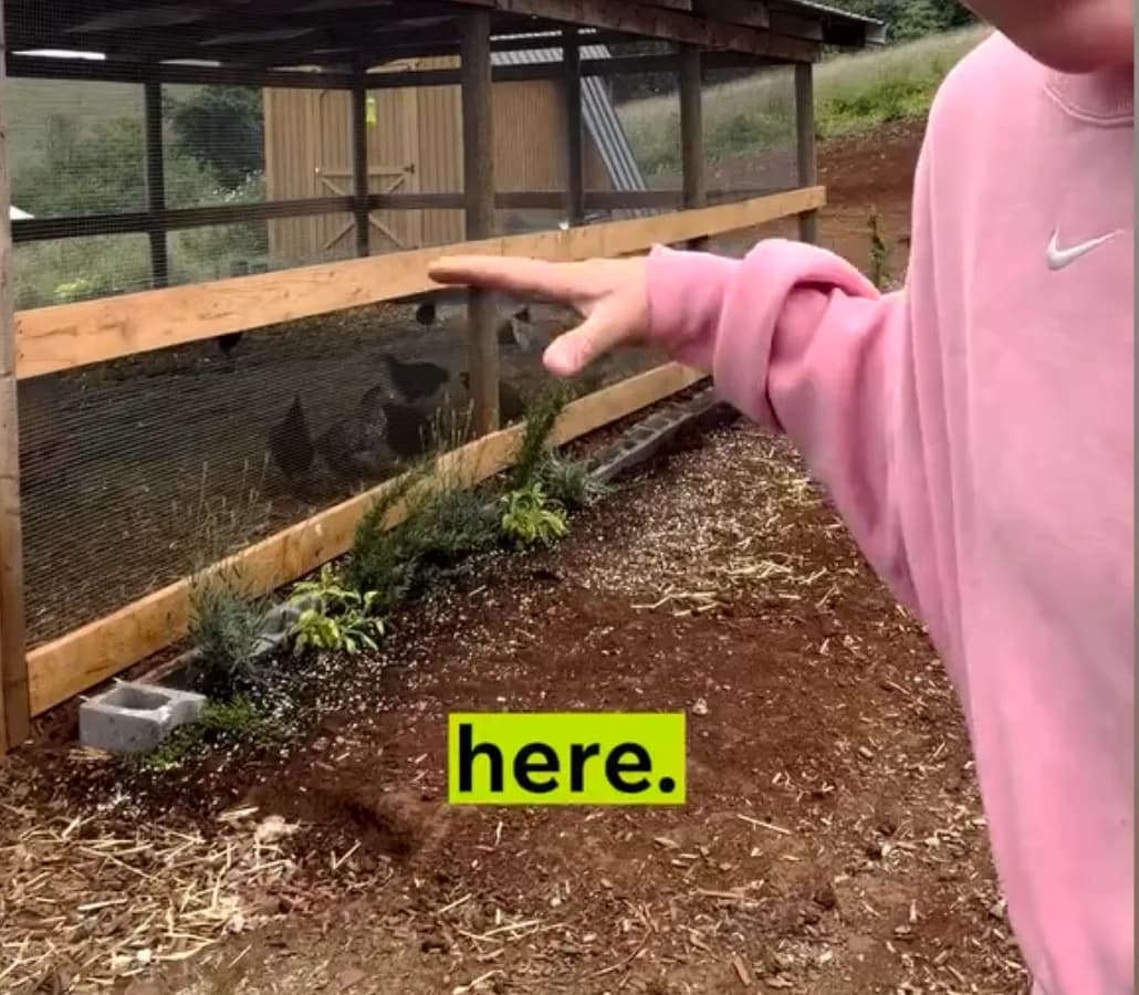 The chicken run alongside the coop