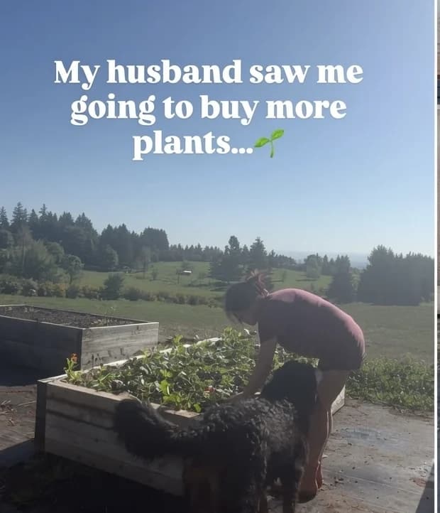 Her reel: my husband saw me going to buy more plants