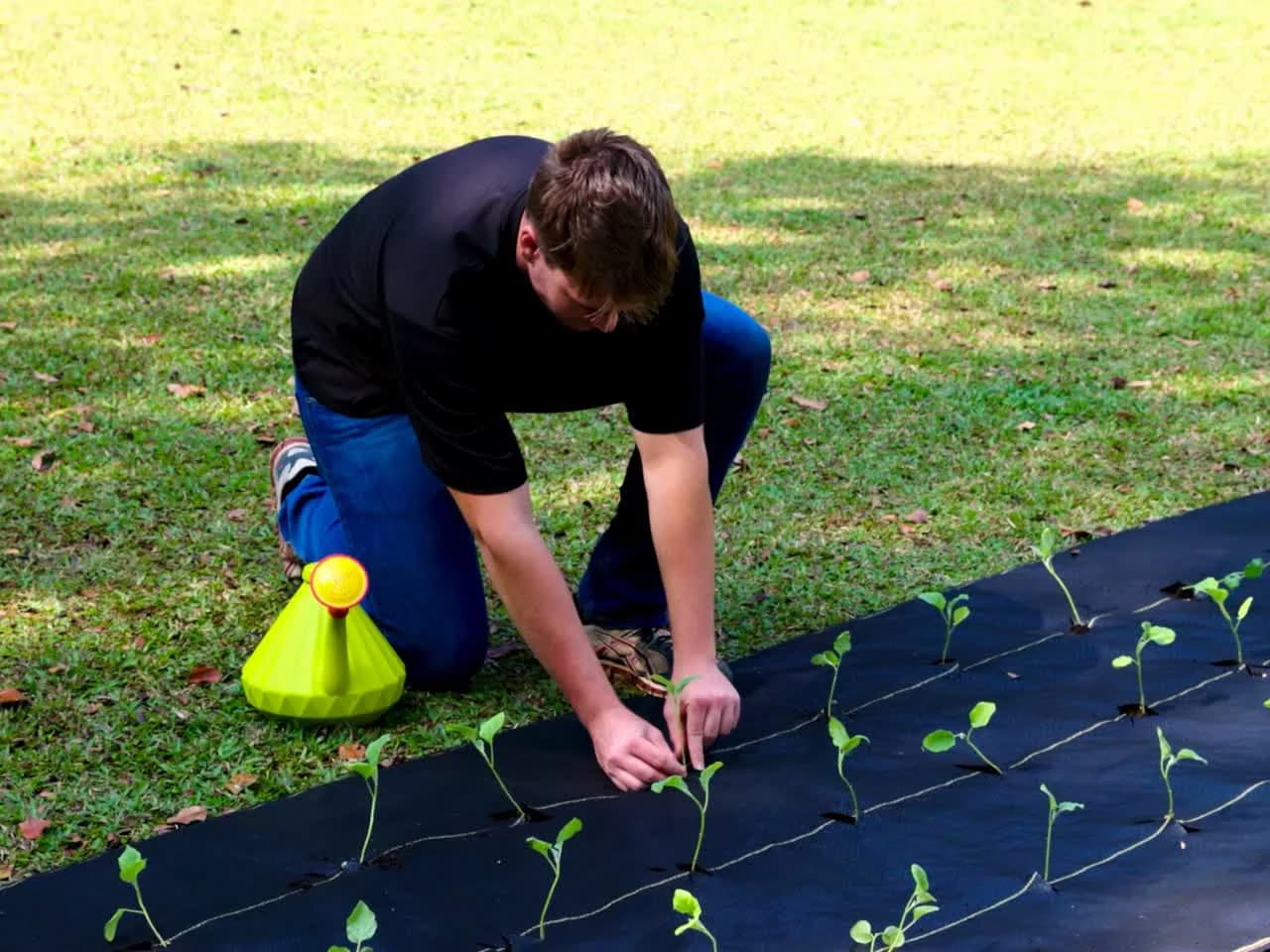 Installer pinning XBAR fabric around young plants