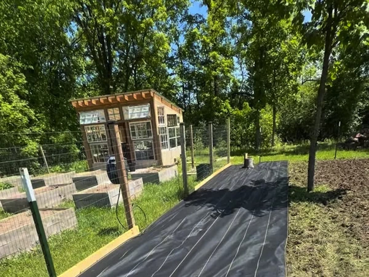 XBAR dual-layer fabric laid as a garden path beside raised beds and a greenhouse