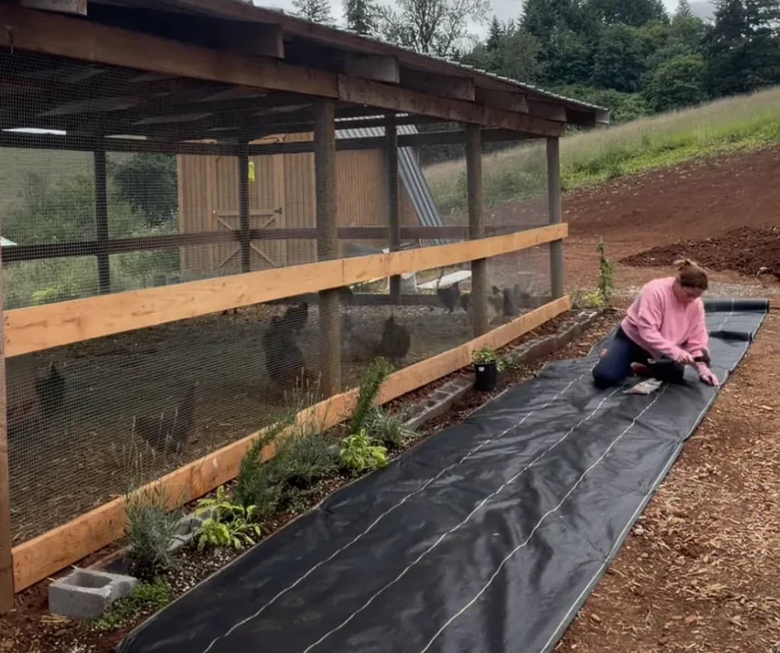 Briana Talmage laying DOTDAY XBAR 5oz landscape fabric along a chicken-coop and farm run in Oregon