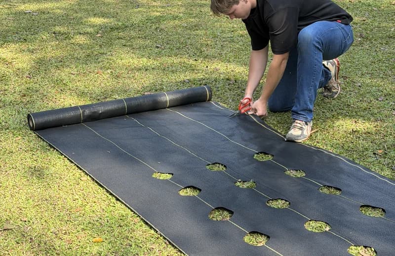 Greenhouse floor covered with DOTDAY weed fabric under benches and stock