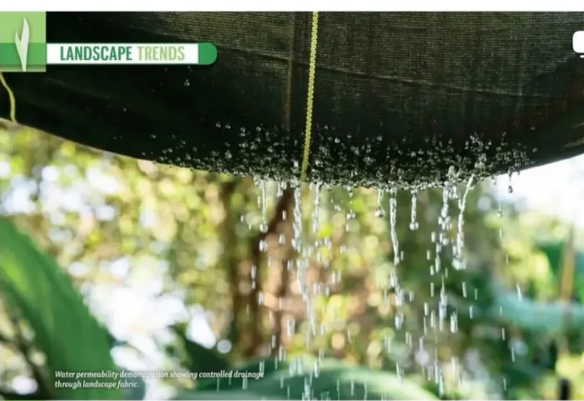 Turf Magazine June 2026 Landscape Trends page featuring the DOTDAY column Beyond Weed Control