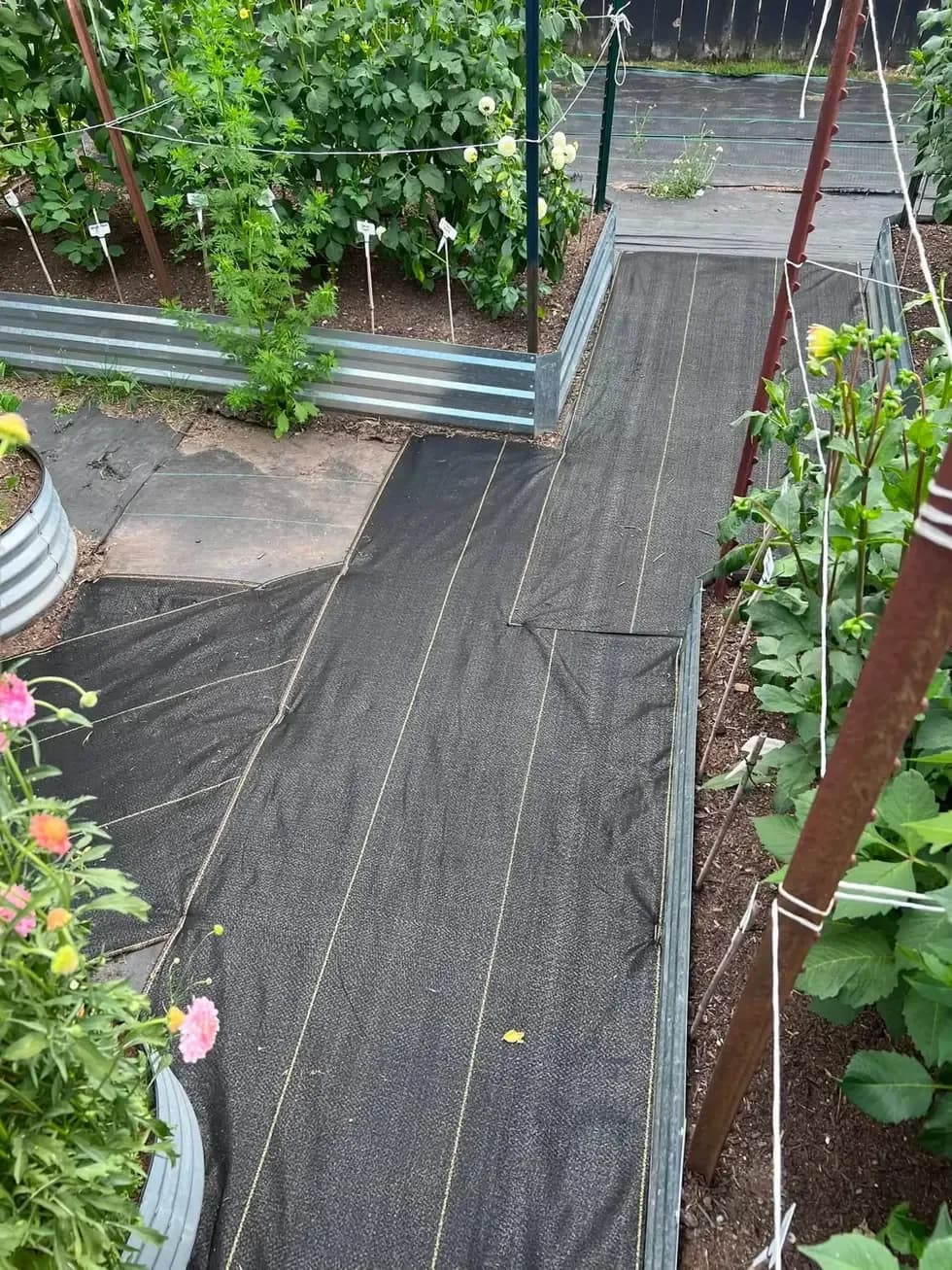 The finished DOTDAY XBAR walkways running between the galvanized raised beds