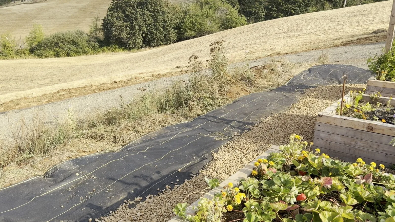 Landscape fabric edging done right: finished gravel path over DOTDAY XBAR with cover to the borders